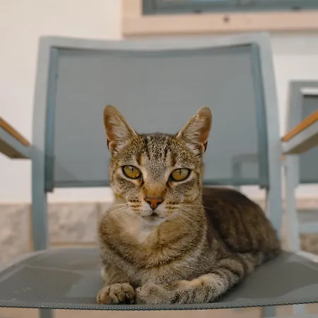 Vandrerhjem Caparica *